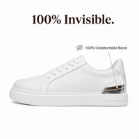 100% Invisible - Undetectable Boost